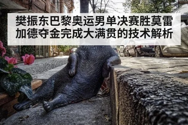 樊振东巴黎奥运男单决赛胜莫雷加德夺金完成大满贯的技术解析